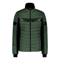 MURRY | M(50) | Diel