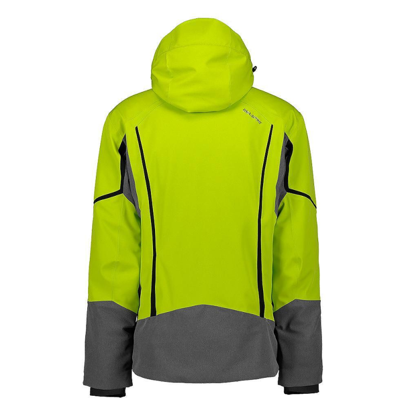 SEBASTIAN | FRESHGREEN | M(50) | Diel